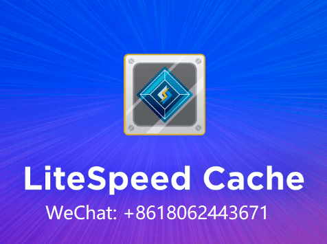 LiteSpeed缓存SEO插件下载地址 - 网站缓存插件怎么用？