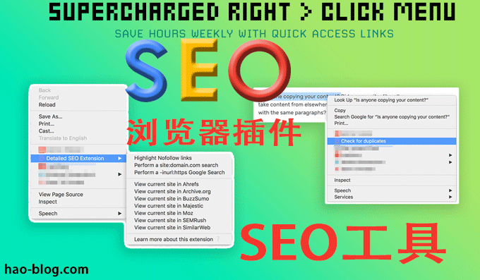 Detailed SEO Extension SEO拓展插件是做什么的？