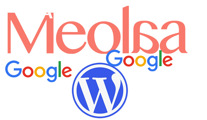 如何创建像 Meolaa 这样的应用程序？