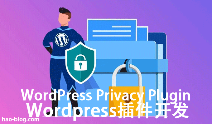 WordPress插件隐私相关的选项、钩子和功能
