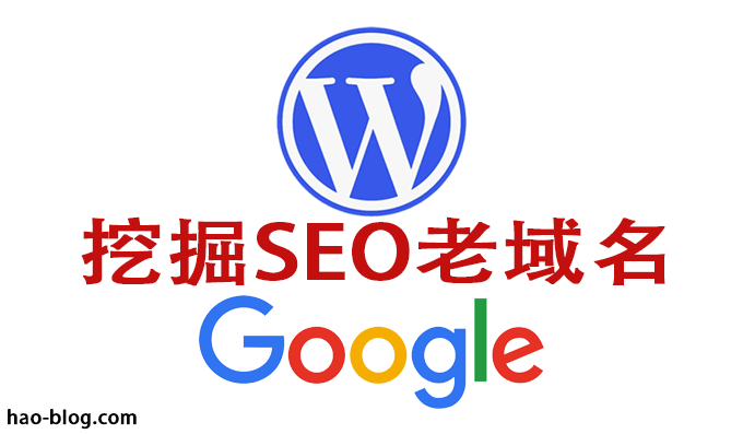 用什么方法挖掘老域名比较好？