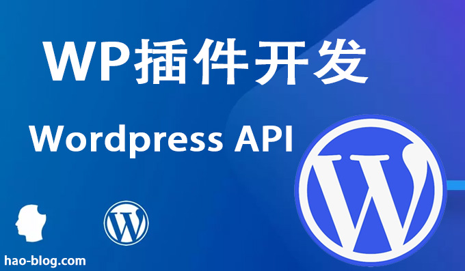 什么是WordPress插件API设置？